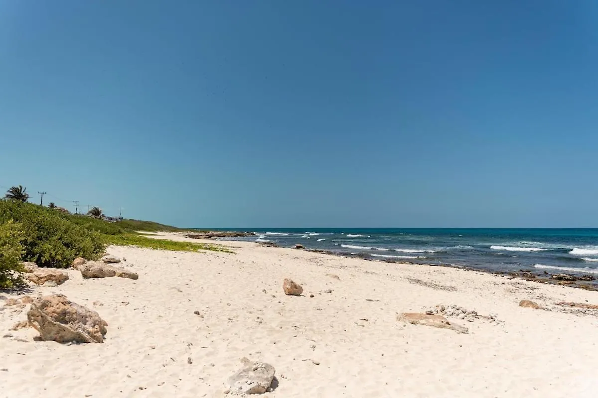 Villa With Ocean View, Pool, Restaurant And Rooftop Isla Mujeres 0*,